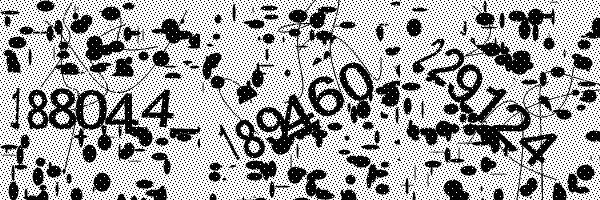 Veuillez activer le chargement des images dans votre navigateur..