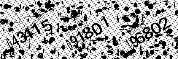 Veuillez activer le chargement des images dans votre navigateur..