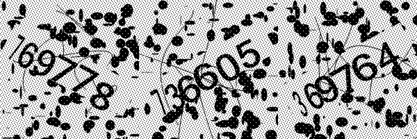 Veuillez activer le chargement des images dans votre navigateur.