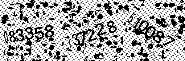 Veuillez activer le chargement des images dans votre navigateur.