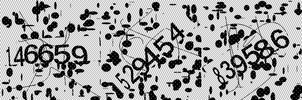 Veuillez activer le chargement des images dans votre navigateur.