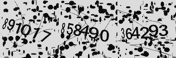 Veuillez activer le chargement des images dans votre navigateur.