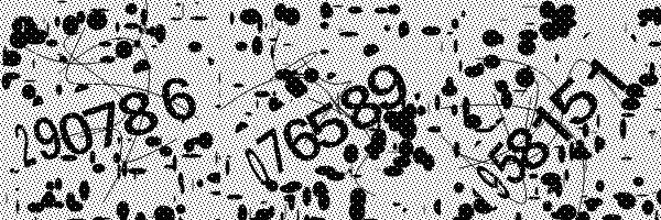 Veuillez activer le chargement des images dans votre navigateur..