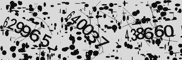 Необходимо включить загрузку картинок в браузере.